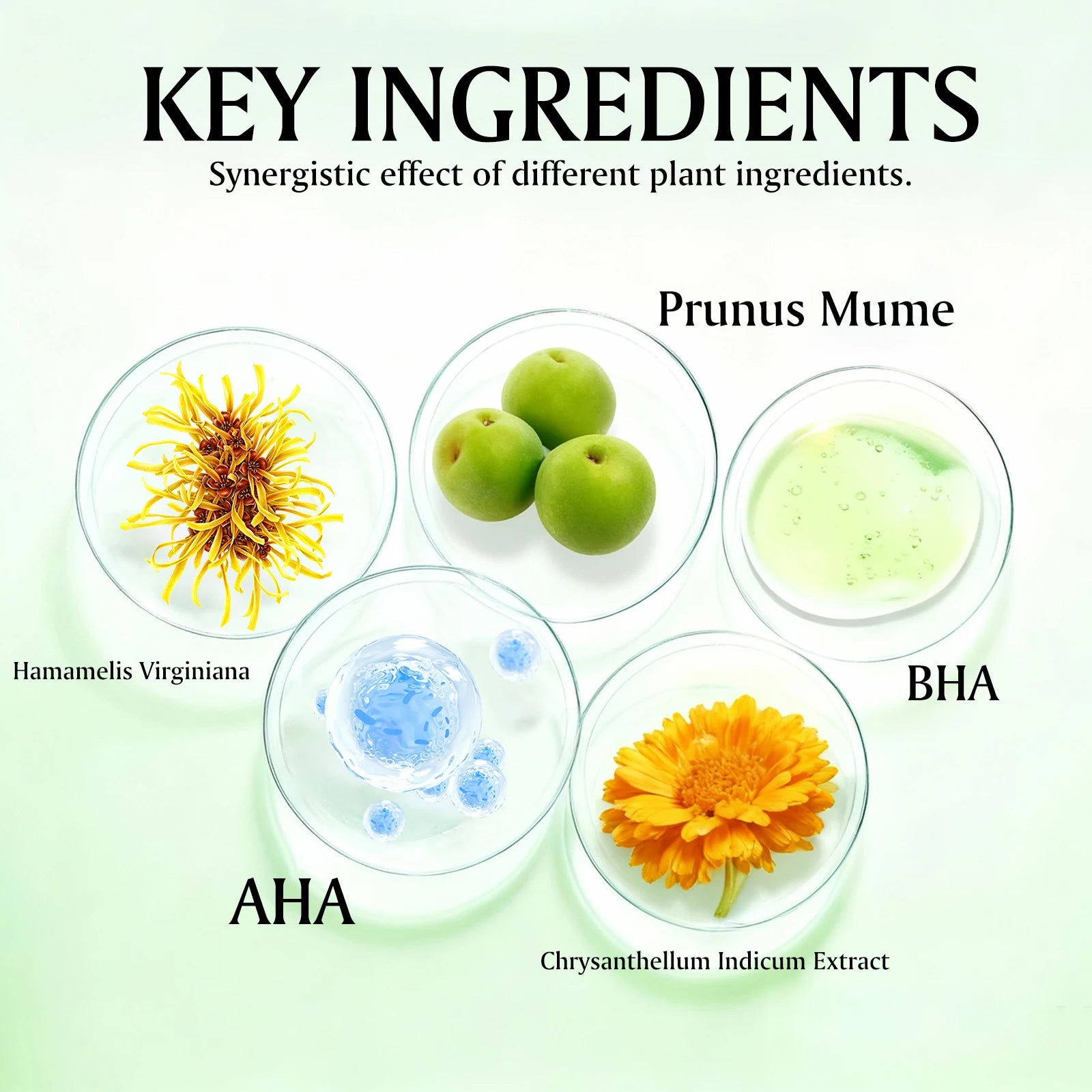 Green Plum AHA BHA Toner Refreshing Facial Essence Moisturizer Mild Exfoliating Salicylic Acid Skin Care Men Women